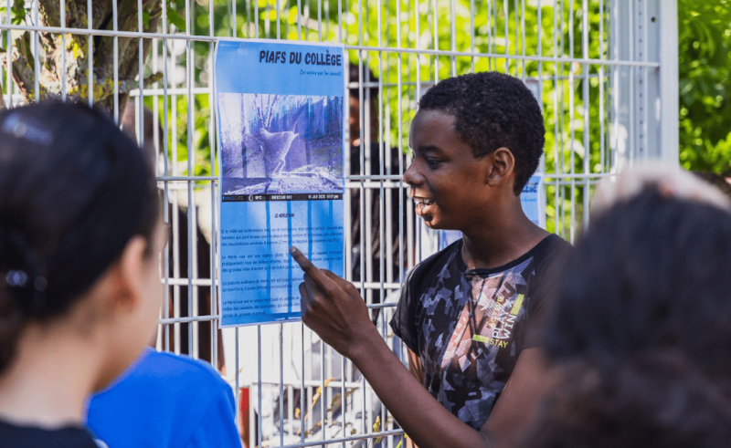 Piafs de ma rue : un projet sur la biodiversité au collège