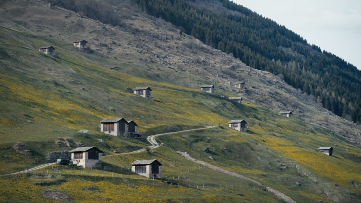 Kind regards from the Anthropocene